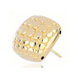 Сережки для вух Biojoux BJT294 Rome Golden 12mm