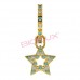 Сережки для вух Biojoux BJT282 Ginevra Golden 12mm Star 10mm