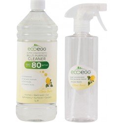 Спрей-концентрат антибактеріальний EcoEgg Citrus