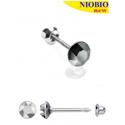 Сережки Inverness 186c Light Chrome 4mm/Cristals from Swarovski NIOBIO Сережки Inverness 186c Light Chrome 4mm/Cristals from Swarovski NIOBIO