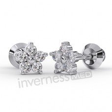 Сережки Inverness 137с Flower 5 Zircons 6mm NIOBIO Сережки Inverness 137с Flower 5 Zircons 6mm NIOBIO